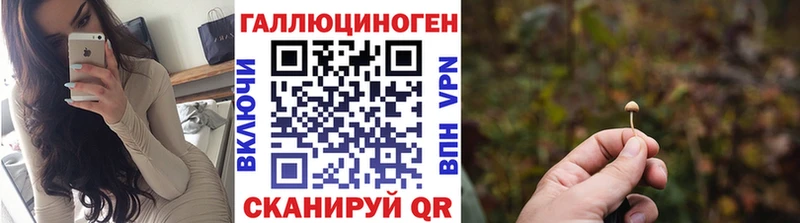 Псилоцибиновые грибы Psilocybine cubensis  купить  цена  Каменск-Уральский 
